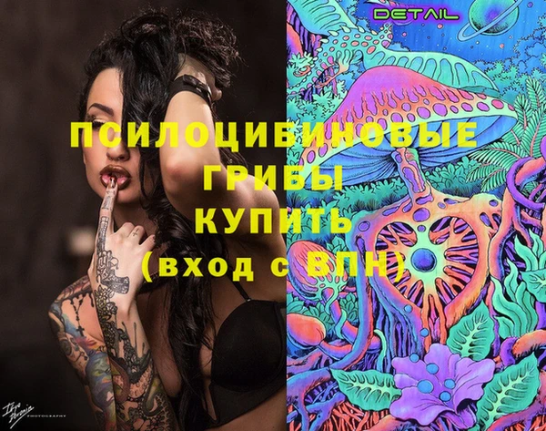 винт Алзамай