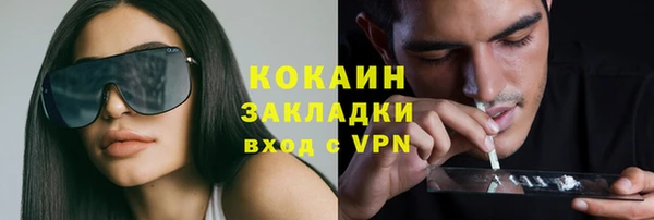 тгк Алексин