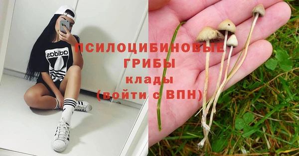 тгк Алексин