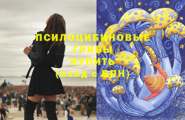 винт Алзамай